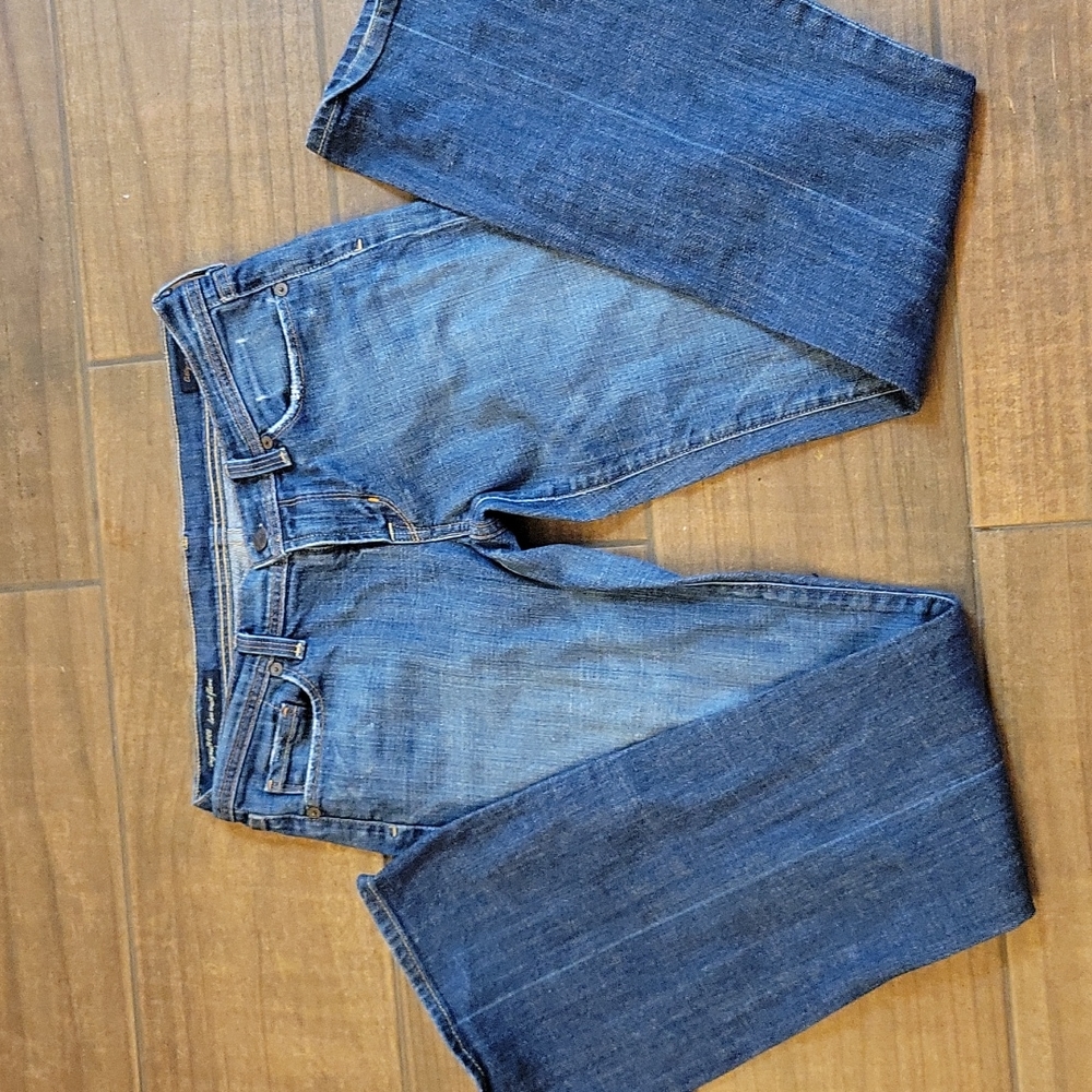 CITIZENS OF HUMANITY Ingrid lowwaist flare stretch jean classic 5 pocket 28 EUC…